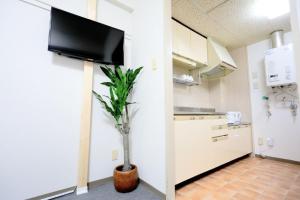 una cocina con TV en la pared y una planta en Mansion Pasture TSUKISAMU Fukuzumi, en Sapporo