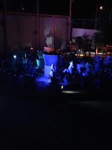 a night view of a garden with blue lights at Safari Motor Inn - Joshua Tree in Joshua Tree