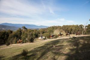 a group of people riding horses on a dirt road at Chum Creek Hut in Chum Creek