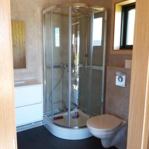 een badkamer met een douche en een toilet bij Miðhvammur Farm Stay in Aðaldalur