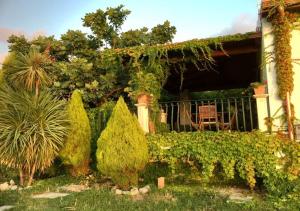 einen Garten mit Büschen und ein Haus mit einem Stuhl in der Unterkunft Villa Giulia in Parghelia