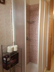 a bathroom with a shower and two rolls of toilet paper at Agriturismo Sarrabus in San Priamo