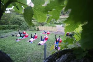 Jardín al aire libre en B&B Taccu Maccu