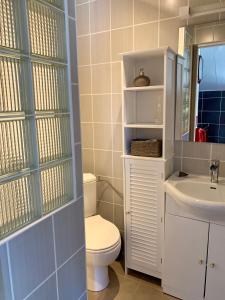 La salle de bains est pourvue de toilettes et d'un lavabo. dans l'établissement Appartement des Petits Princes, à Valençay