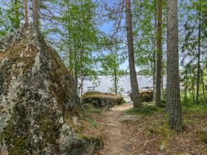 ein Weg durch einen Wald mit Bäumen und einem Gewässer in der Unterkunft Holiday Home Hiidenlinna by Interhome in Pitkälahti