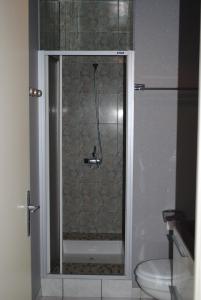 La salle de bains est pourvue d'une douche en verre et de toilettes. dans l'établissement Appartement Chantemerle, à Durtol