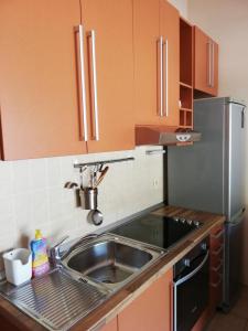 eine Küche mit einer Spüle und einem Kühlschrank aus Edelstahl in der Unterkunft Apartman Ivana in Klek