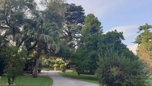 A garden outside The SPIRIT OF LUCCA with all comfortable amenities