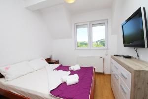 een slaapkamer met een groot bed en een flatscreen-tv bij Vila Mija in Zlatibor