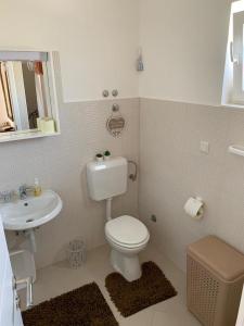 a small bathroom with a toilet and a sink at Apartments Javorka in Povljana