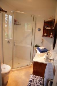 a bathroom with a shower and a toilet and a sink at Cottage on Main in Franklin