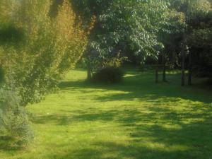 Zahrada ubytování Avondale House