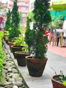 Fotografie z fotogalerie ubytování Hotel Tranquil v destinaci Kathmandu