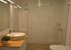 a bathroom with a shower and a sink and a toilet at Kraljev Park sa parking mestom in Novi Sad +12 photos