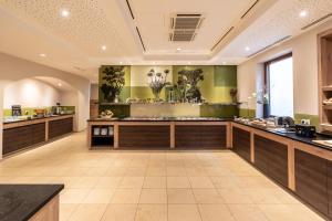 Kuchyň nebo kuchyňský kout v ubytování Hotel Dirsch Wellness & Spa Resort