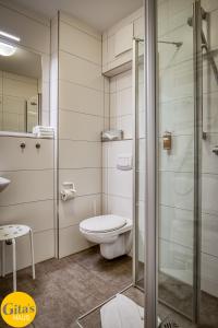 uma casa de banho com um WC e uma cabina de duche em vidro. em Gita´s Haus em Rust