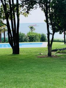 a park with two trees and a swimming pool at Appartamenti Villa Andrea in Garda