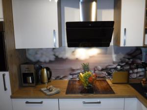 Kuchyň nebo kuchyňský kout v ubytování Ferienwohnung Mondfänger