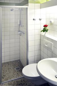 y baño con ducha, aseo y lavamanos. en Christkönigshaus en Stuttgart