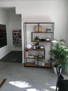 a living room with a book shelf and a plant at Huize Hoge Fronten in Maastricht