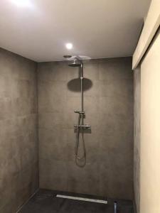 a shower in a bathroom with a shower head at Huize Hoge Fronten in Maastricht +6 photos