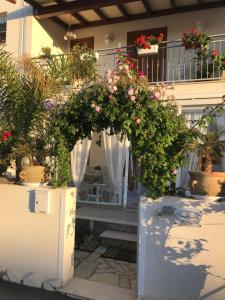 a bunch of flowers in pots on a house at Cima Bianca in San Vito lo Capo