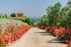 a dirt road lined with flowers in front of a building at Sole del Chianti in Tavarnelle in Val di Pesa