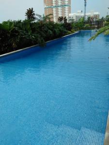Πισίνα στο ή κοντά στο One Bed Room Apartment, Intermark BSD
