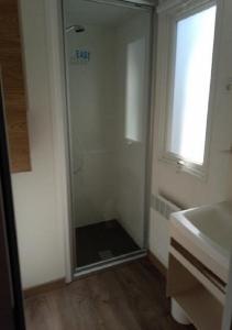 a bathroom with a shower and a sink and a mirror at MOBILHOME SAINT JULIEN EN BORN in Saint-Julien-en-Born