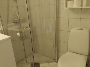 a bathroom with a toilet and a glass shower at Nedre Amla Fjord Apartment in Kaupanger +19 photos