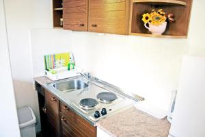 a small kitchen with a sink and a stove at Apartments Villa Zvonimir in Slatine