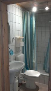 un bagno con lavandino, WC e doccia di Gemütliche Ferienwohnung 2 Personen im Wendland / Elbe a Trebel