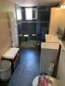 une salle de bains avec douche, toilettes et lavabo dans l'établissement Appartement au Coeur de la Provence, à Beaumes-de-Venise 5 autres photos