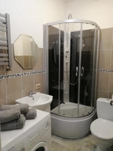 a bathroom with a shower and a toilet and a sink at Apartament Maja2 2 pokoje na Gdańskiej starówce parking w cenie in Gdańsk