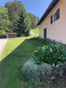 Zahrada ubytování L'ÉPERVIER BLANC