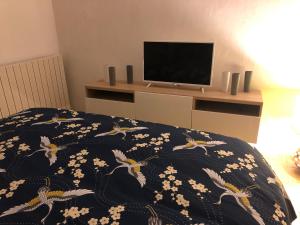 ein Schlafzimmer mit einem Bett und einem TV auf einem Regal in der Unterkunft L'ÉPERVIER BLANC in Habère-Poche