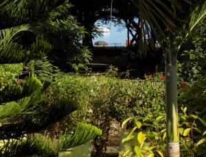 Giardino di Villa Osumare Guest House