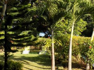 Giardino di Villa Osumare Guest House