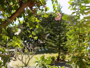 Giardino di Villa Osumare Guest House