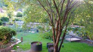 Gallery image of Les Jardins Sauvages in Cabrerets