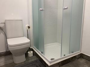 リスボンにあるSanto Amaro Apartmentのバスルーム(トイレ、ガラス張りのシャワー付)