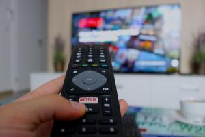 TV a/nebo společenská místnost v ubytování Little Romance in Bratislava