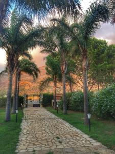 a cobblestone path with palm trees in a park at Villa Santa Margherita in Castelluzzo
