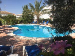 a swimming pool with chairs and a palm tree at Hotel El Molino in Osuna