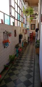 un couloir avec des plantes en pot sur le mur dans l'établissement Casa Reina Palermo Queens, à Buenos Aires