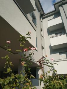 Budova, v ktorej sa apartmán nachádza