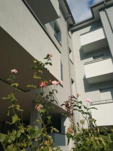 Budova, v ktorej sa apartmán nachádza