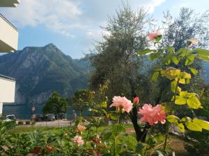 a view of a mountain from a garden with flowers at le case di Giulia in Abbadia Lariana