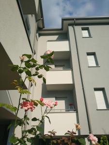 Budova, v ktorej sa apartmán nachádza