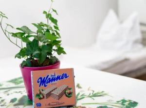 une plante dans un pot rose assis à côté d'une boîte dans l'établissement Contactless Check-In Top located room Netflix&Nespresso, à Vienne